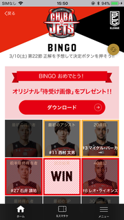 09_bingo_game_bingo.png