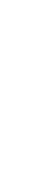 千葉ジェッツと特別な1日を過ごそう。